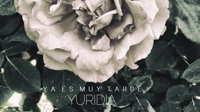 2015/ Yuridia - Ya Es Muy Tarde _(АУДИО)