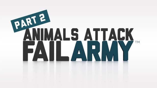 2015/ When Animals Attack Compilation Part 2 by FailArmy