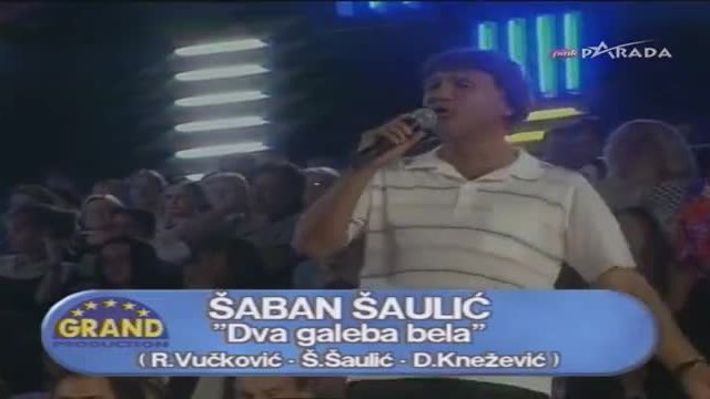 Saban Saulic (2000) - Dva galeba bela