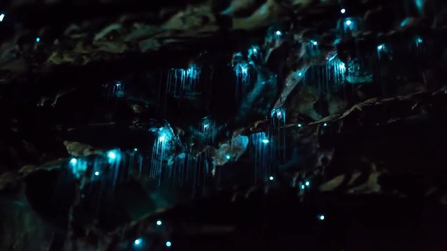 Светулки - Видео снимано в пещера в Нова Зеландия // видео