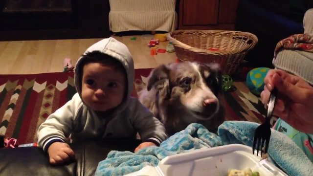 Куче се мисли за бебе и казва мама!!! Вижте колко са милички и сладки