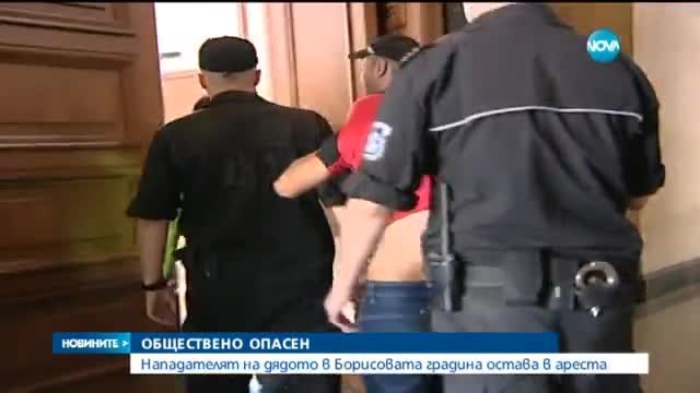 Опасен за обществото! Задържаният за побоя в Борисовата градина нападнал дръзко - Новини Нова