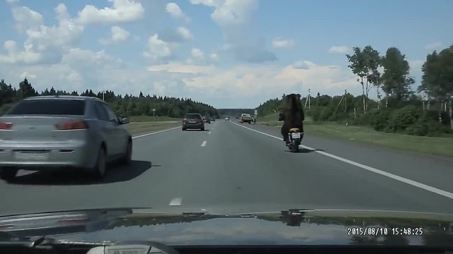 Мечка кара мотор в Русия - Много смях