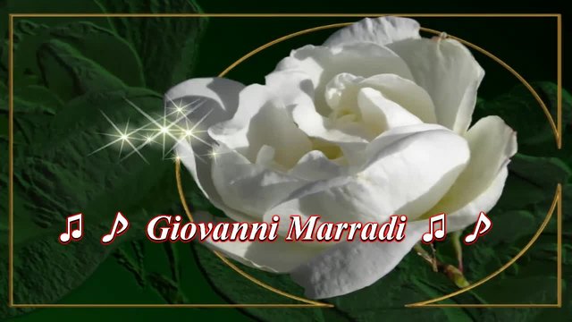 ✿♫ ♪ White Rose   ... ...  (music Giovanni Marradi) ✿ ♫ ♪
