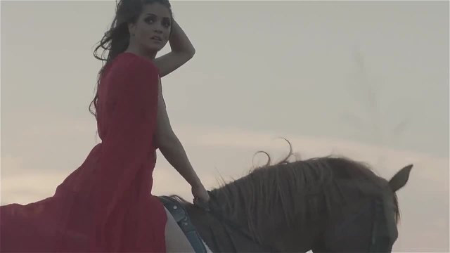 Премиера • Sasa Matic - Zabranjena Ljubav  ( Official Video 2015 )