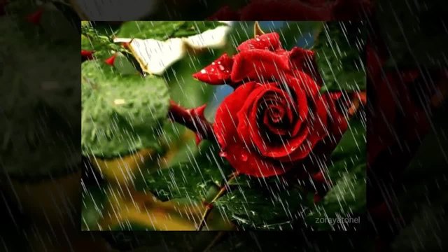Тихият пролетен дъжд - по Николай Лилиев (Slideshow)