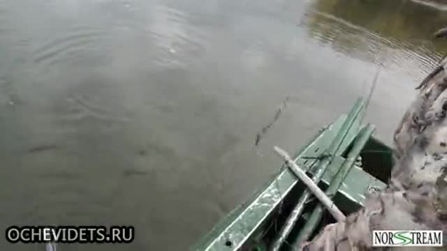 Руски рибари по необичаен начин ловят щука !