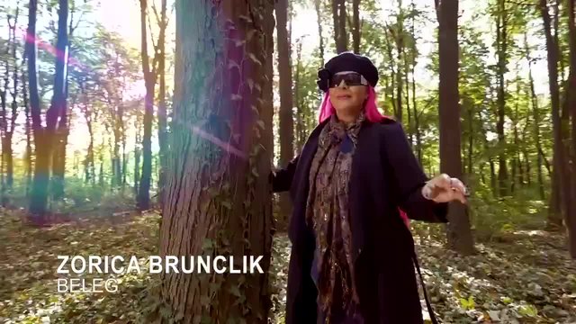 ZORICA BRUNCLIK - BELEG • Official Video (2015)
