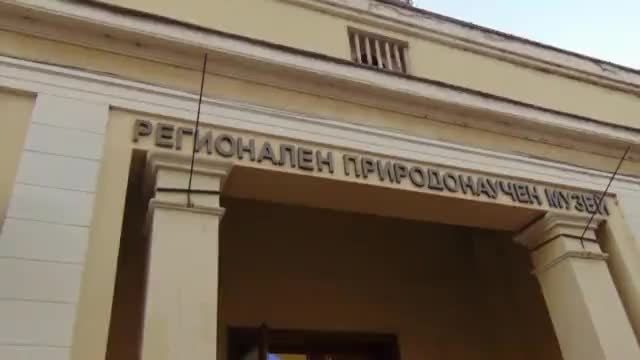 Вижте Атракциите в Природонаучния музей в Пловдив
