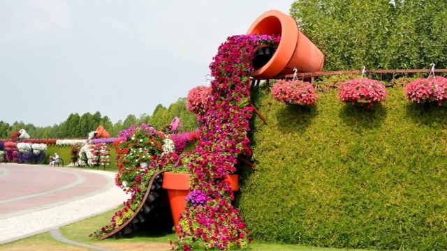 Дубай - Парк цветов  