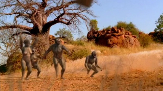 Австралопитеци !!! Човекоподобни маймуни в GOOGLE 2015
