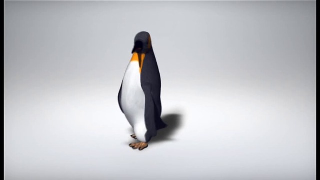 3d анимация пингвина  