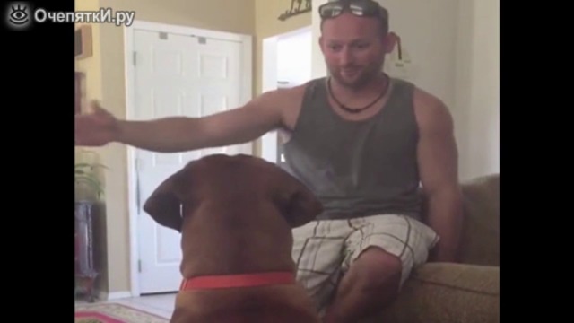 Стопанин търсеше занимавка с кучето си , но с неочакван край  