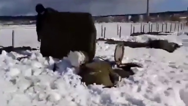 Моща на руската военна техника при зимни условя е безгранична !  