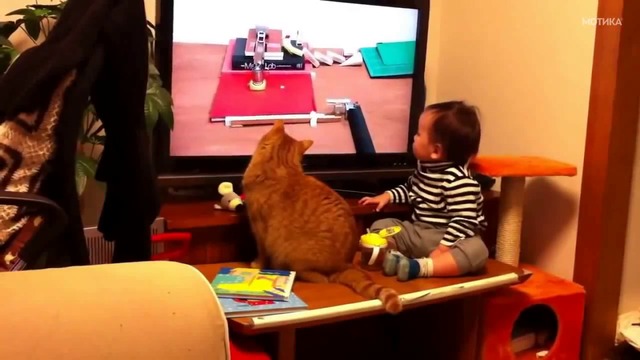 Коте и бебе гледат телевизия
