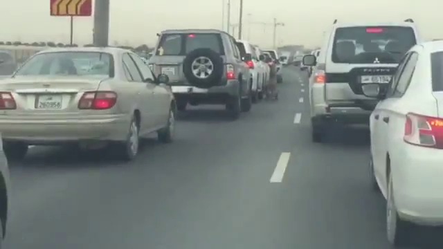 Това си е жестоко! Тигър изскочи на пътя в Катар (ВИДЕО)