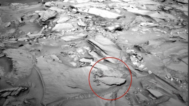 Откриха акула на снимки от Марс
