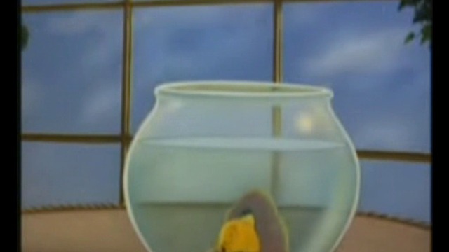 tom and jerry episode jeri i fish