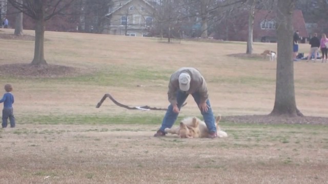 Куче се прави на мъртво, за да останат в парка със стопанина си