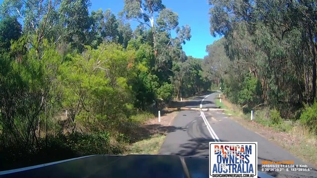 Огромен камион срещу дърво паднало на пътя в Австралия (ВИДЕО)