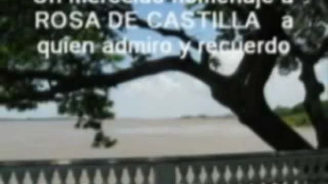 Rosa de Castilla - Ojitos Negros