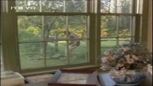 Веселата ферма (1988) (бг субтитри) (част 4) TV Rip Нова телевизия