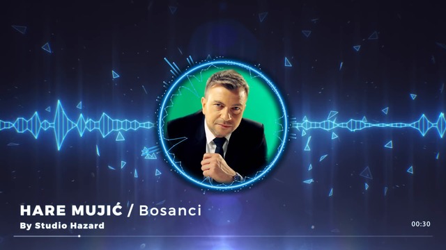 Hare Mujić _ Bosanci (Official Audio 2016)