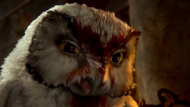 Легенда за пазителите ( Legend of the Guardians: The Owls of Ga'Hoole ) Българско аудио част 2