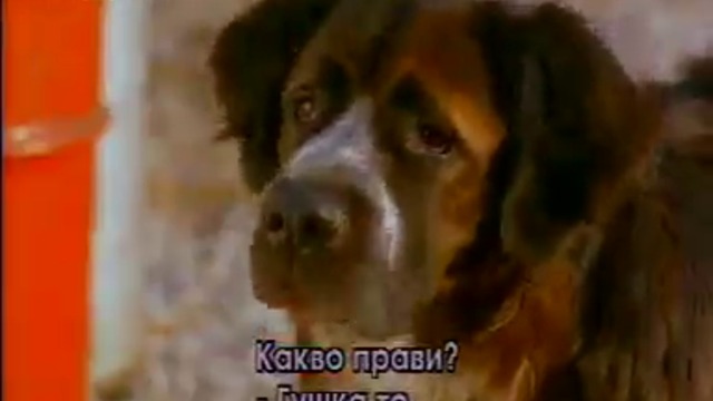 Флюк (1995) (бг субтитри) (част 3) TV Rip Нова телевизия 2006