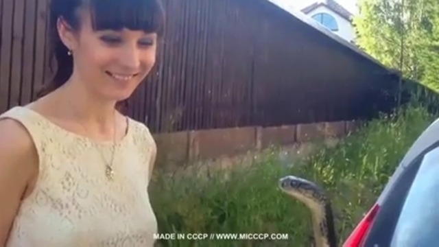 Момиче целува змия (ВИДЕО)