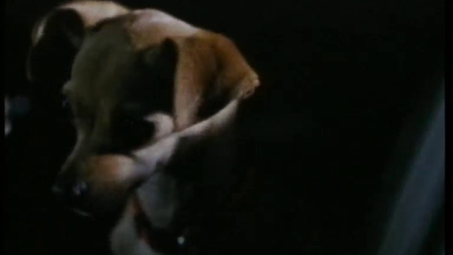 Пинг (2000) (бг аудио) (част 4) DVD Rip Айпи видео