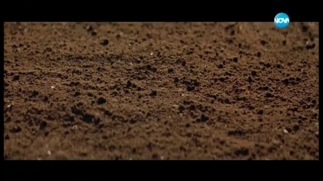 Маската на Зоро (1998) (бг аудио) (част 4) TV Rip NOVA 22.01.2017