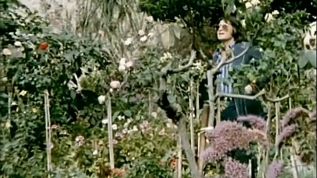Nino Bravo - Un Beso Y Una Flor (1972)