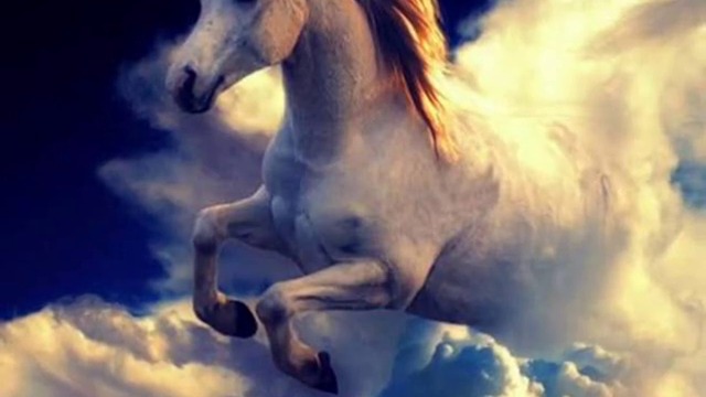 Невероятна красота!!!  Вижте най-красивите коне в света