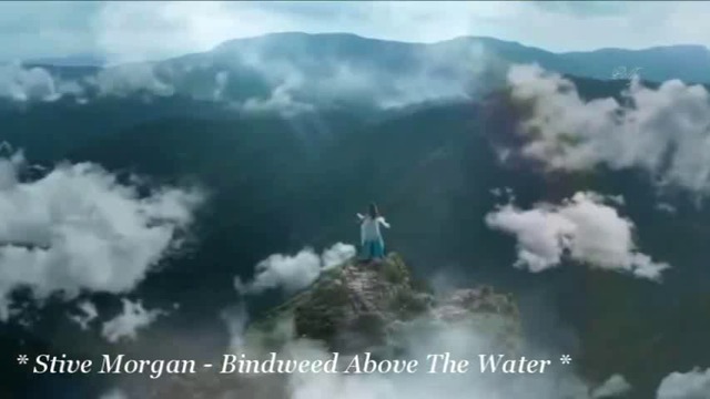 ❤ Stive Morgan - Bindweed Above The Water ❤