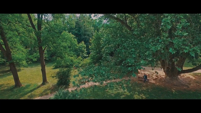 DARIO BOTIC- GODINE UKRADENE (OFFICIAL VIDEO)