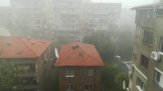 Силен дъжд и буря в Пловдив днес изпочупи клоните на дърветата
