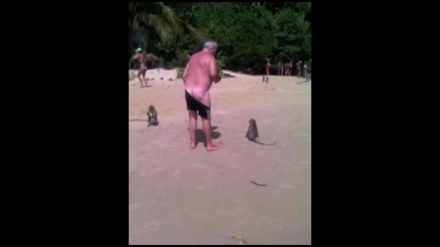 Маймуни свалят гащите на старец