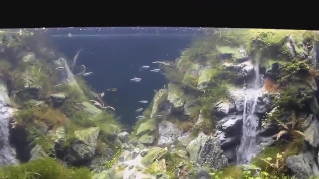 Водопад в аквариума - как е възможно това?