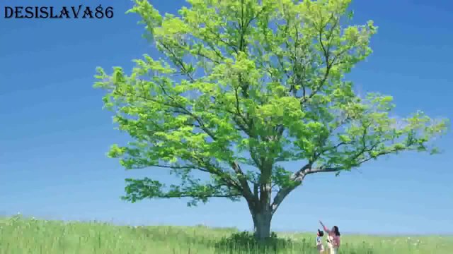 Relaxing Music - The most beautiful melodies