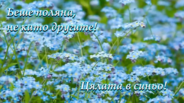 ✨✨ Синьо цвете ... Незабравка! ... (по стихове на iren5) ... ... (music Ernesto Cortazar) ... ... ✨✨