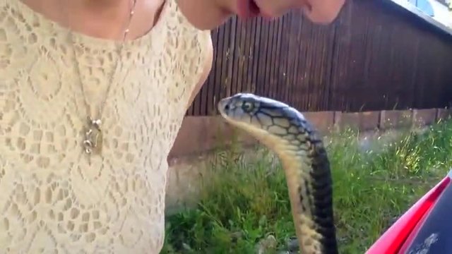 Невероятно!!! Красиво момиче целува кобра!!!