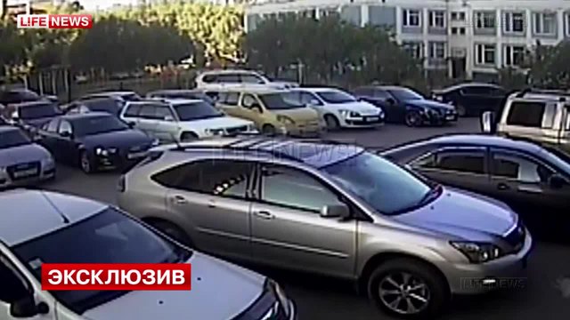 Коте падна от 19-я етаж, разби "Лексус" и оцеля