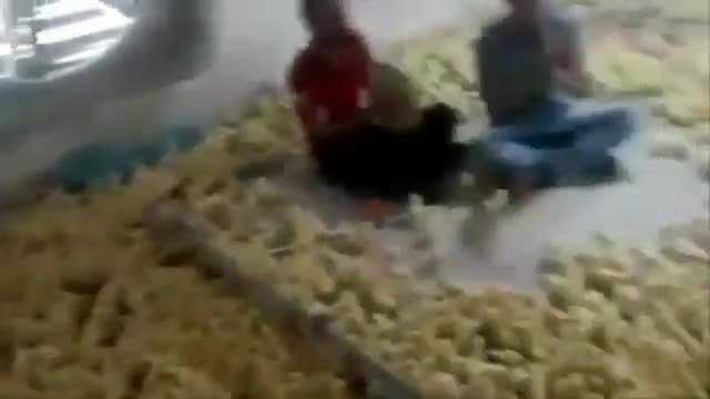 Концерт за бебета пилета