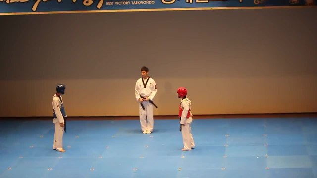 Интересно таекуондо