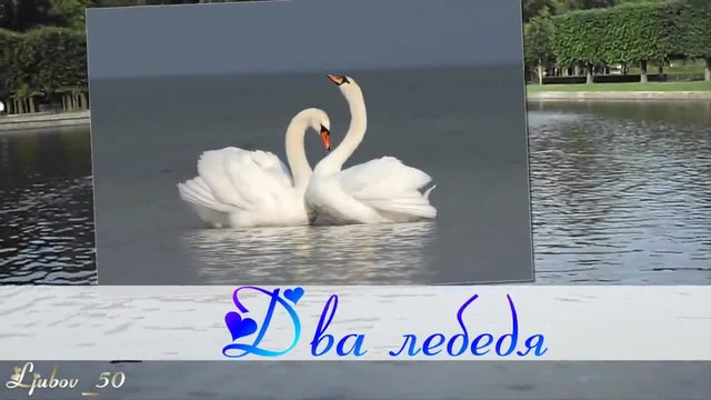 Андрей Морган - Два лебедя