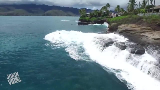 Спасяване на куче ,пометено от огромна вълна
