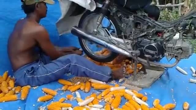 Изумителен начин за ронене на царевица с мотор Хонда . Вижте!