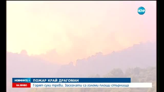 Голям пожар гори край Драгоман