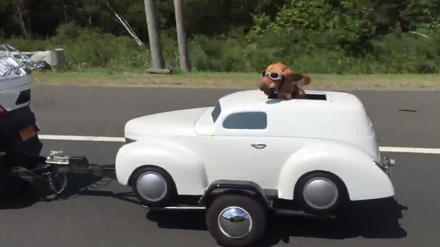 Куче със собствен мотор!!! Най-сладкото видео 2015